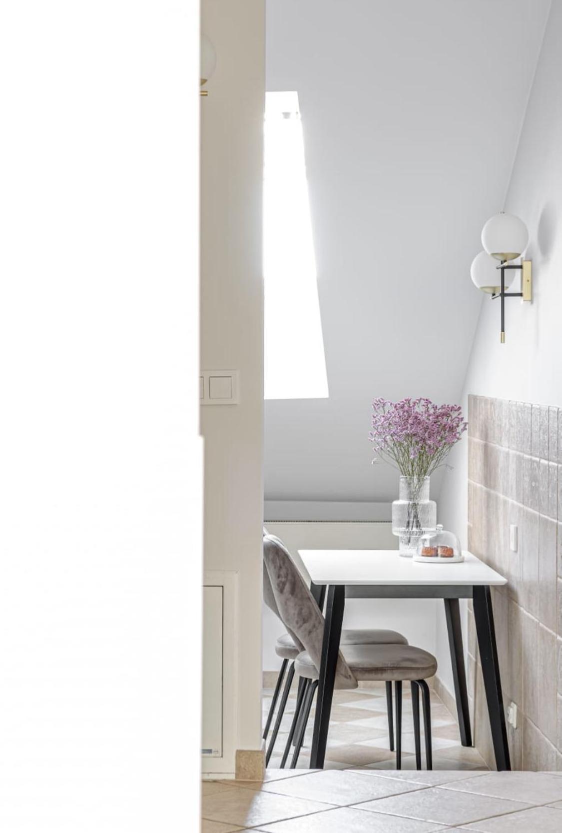 Traku Street Apartment In 维尔纽斯 外观 照片